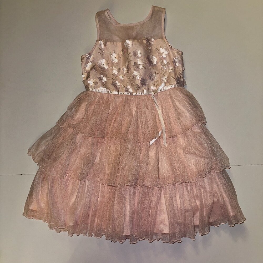 JONA MICHELLE Girls Tulle Formal Pale Pink Dress Size 7 3D FLOWERS